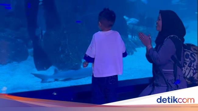 Suster Rini Nangis Beri Kado, Rayyanza: Makasih, Sus